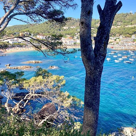 Apartment 1Llad01 - Llafranc Calella De Palafrugell Dış mekan fotoğraf