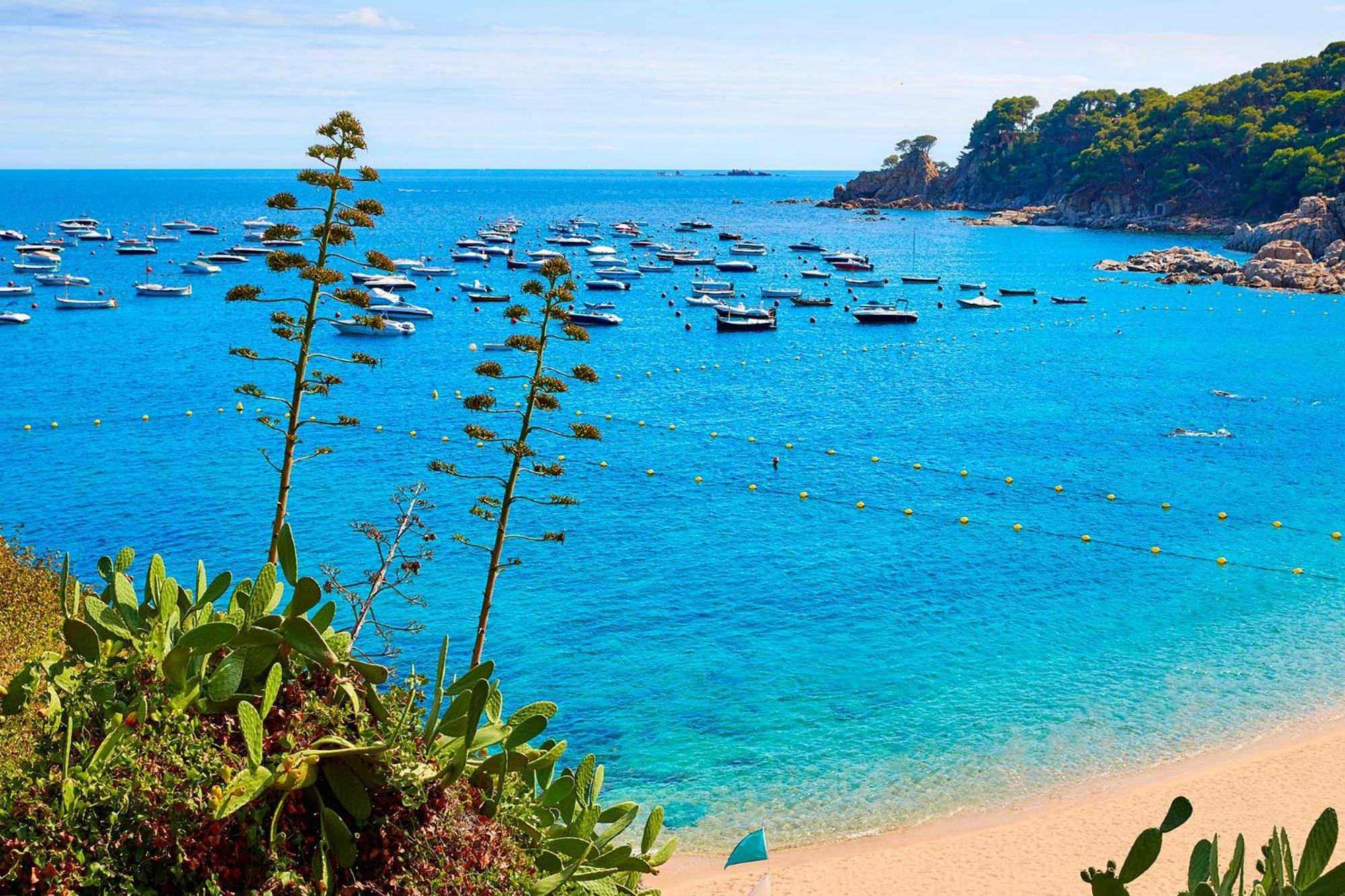 Apartment 1Llad01 - Llafranc Calella De Palafrugell Dış mekan fotoğraf