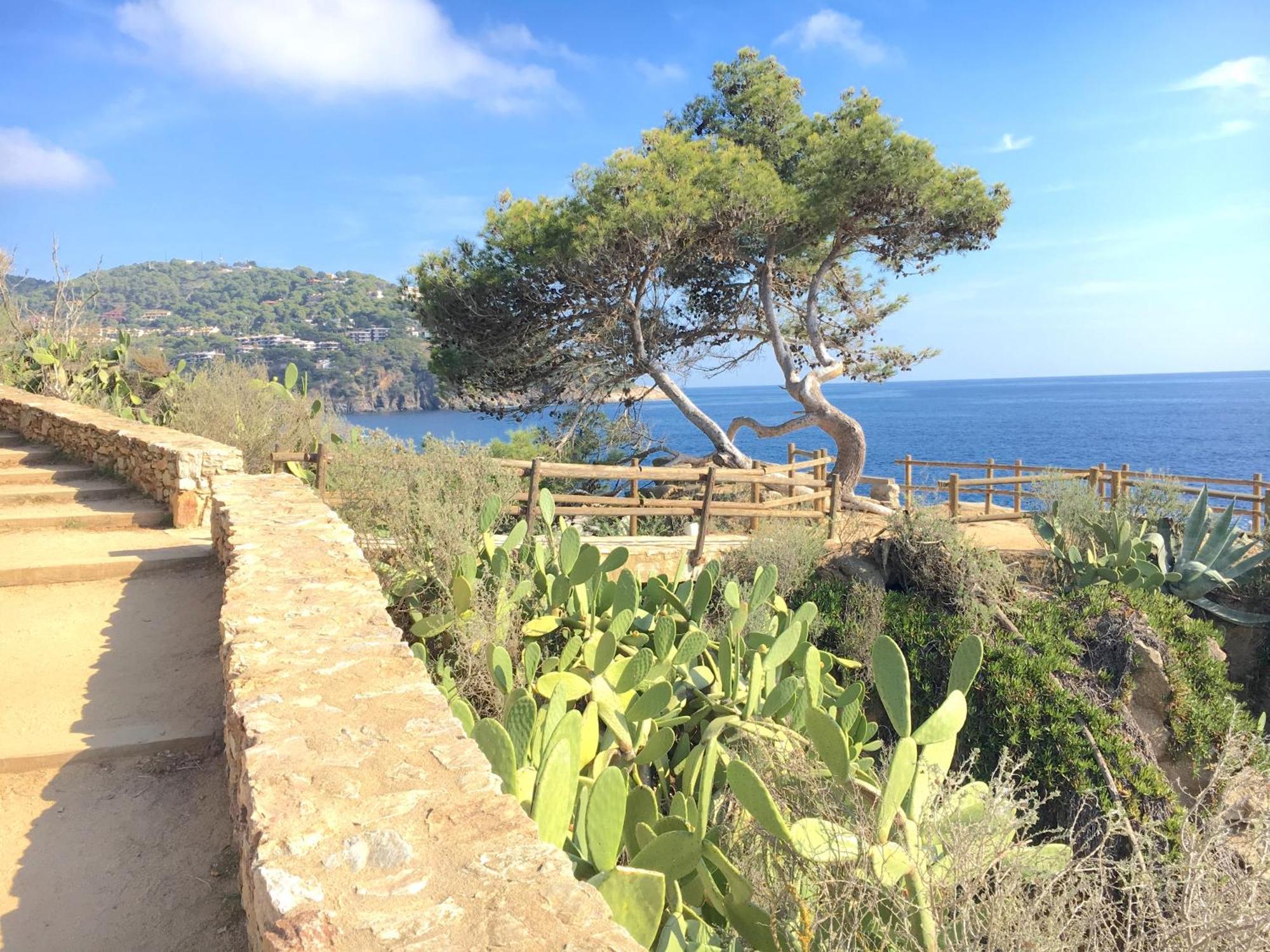 Apartment 1Llad01 - Llafranc Calella De Palafrugell Dış mekan fotoğraf